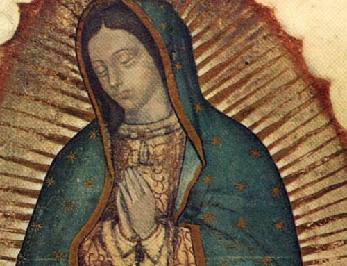 Our Lady of Guadalupe: Mary Wants to Visit Us