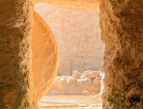 You Know What Happened! – Homily for Easter Sunday